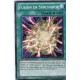 Fusion en Surcharge (C) [RYMP]