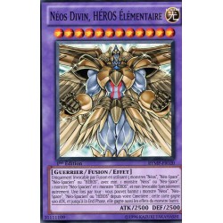 Néos Divin, Héros Elémentaire (C) [RYMP]