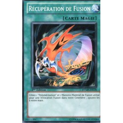 Récupération de Fusion (C) [RYMP]