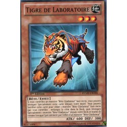 Tigre de Laboratoire (C) [RYMP]