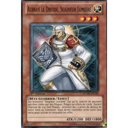 Aurkus le Druide, Seigneur Lumière (C) [RYMP]
