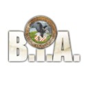 BIA - Jeu de Base