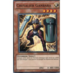 Chevalier Ganbara (C) [YS11]