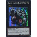 Gachi Gachi Gantetsu (SR) [YS11]