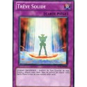 Trêve Solide (C) [YS11]