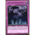 Appel de l'Être Hanté (GOLD) [GLD5]