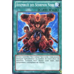 Assemblée des Scorpion Noir (C) [GOLD5]