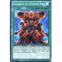 Assemblée des Scorpion Noir (C) [GLD5]