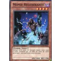 Momie Régénérante (C) [GLD5]