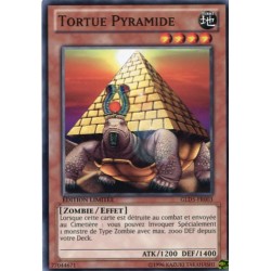 Tortue Pyramide (C) [GOLD5]