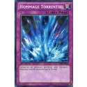 Hommage Torrentiel (C) [SDRE]