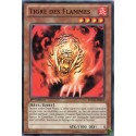 Tigre Des Flammes (C) [SDOK]