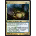 Or - Avaleur d'espèces (U) [DGM]