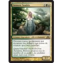 Or - Emmara Tandris (R) [DGM]