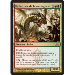 Or - Hydre née de la sauvagerie (M) [DGM]