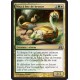 Or - Moa à bec de bronze (U) [DGM]