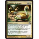 Or - Moa à bec de bronze (U) [DGM]
