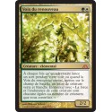 Or - Voix du renouveau (M) [DGM]