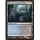 Terrain - Porte de la guilde de Dimir (C) [DGM]