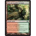 Terrain - Porte de la guilde de Gruul (C) [DGM]
