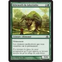 Verte - Béhémoth du labyrinthe (C) [DGM]