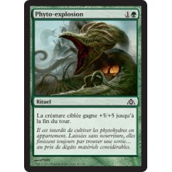 Verte - Phyto-explosion (C) [DGM]