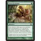 Verte - Proie du mutant (C) [DGM]