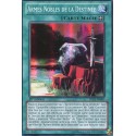 Armes Nobles de la Destinée (SR) [LTGY]