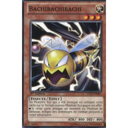 Bachibachibachi (C) [LTGY]