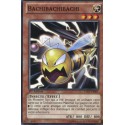 Bachibachibachi (C) [LTGY]