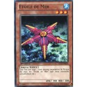 Étoile de Mer (C) [LTGY]