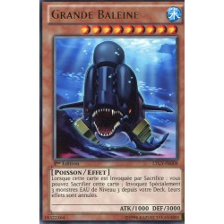 Grande Baleine (R) [LTGY]