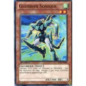Guerrier Sonique (C) [LTGY]