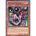 Médium Harpie (UR) [LTGY]