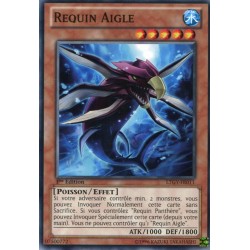 Requin Aigle (C) [LTGY]