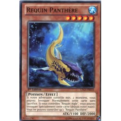 Requin Panthère (C) [LTGY]