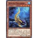 Requin Panthère (C) [LTGY]