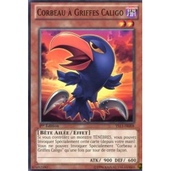 Corbeau à Griffes Caligo (C) [YS13]