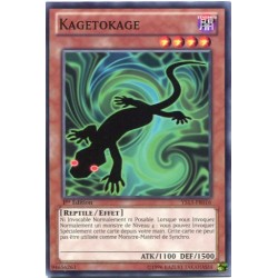 Kagetokage (C) [YS13]