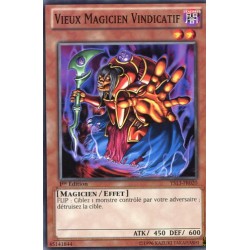 Vieux Magicien Vindicatif (C) [YS13]