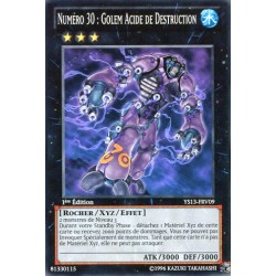 Numéro 30 : Golem Acide De Destruction (C) [YS13]
