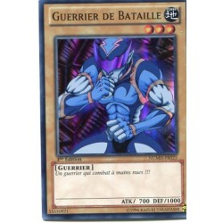 Guerrier De Bataille (SR) [NUMH]