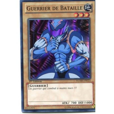 Guerrier De Bataille (SR) [NUMH]