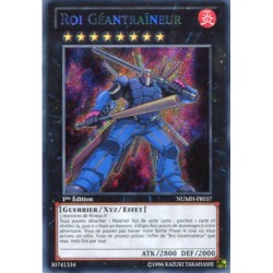Roi Géantraîneur (STR) [NUMH]