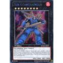 Roi Géantraîneur (STR) [NUMH]