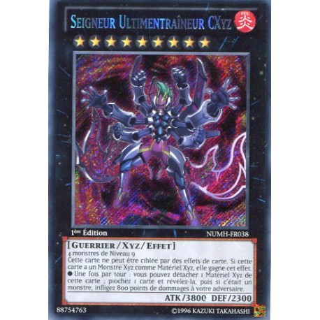 Seigneur Ultimentraîneur Cxyz (STR) [NUMH]