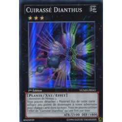Cuirassé Dianthus (SR) [NUMH]