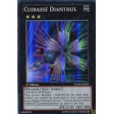 Cuirassé Dianthus (SR) [NUMH]