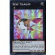 Bébé Tiragon (SR) [NUMH]