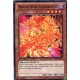 Dragon Divin Apocralyphe (C) [SDBE]